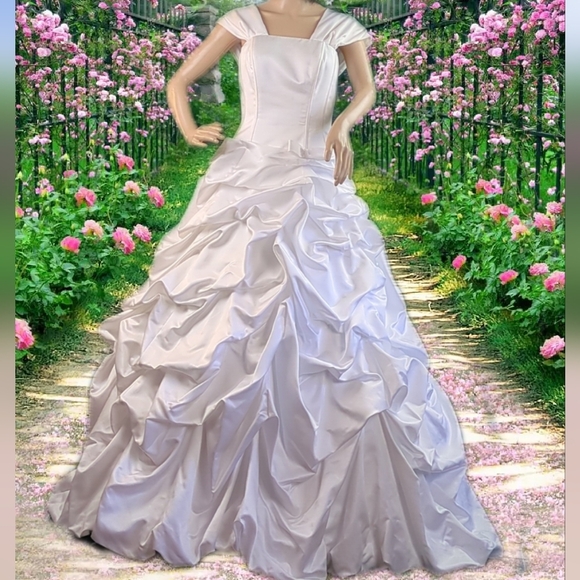 David's Bridal Wedding Dress - Picture 10 of 16